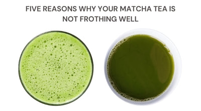 Five reasons why your Matcha tea is not frothing well