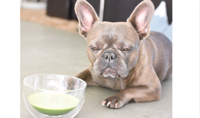 Why Calm Matcha Energy Beats Caffeine Spikes